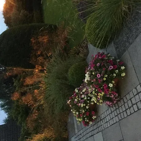 费尔劳恩斯食宿酒店 住宿加早餐酒店